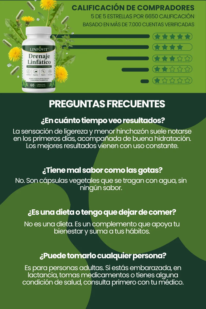 linfovit-flyer-5.webp