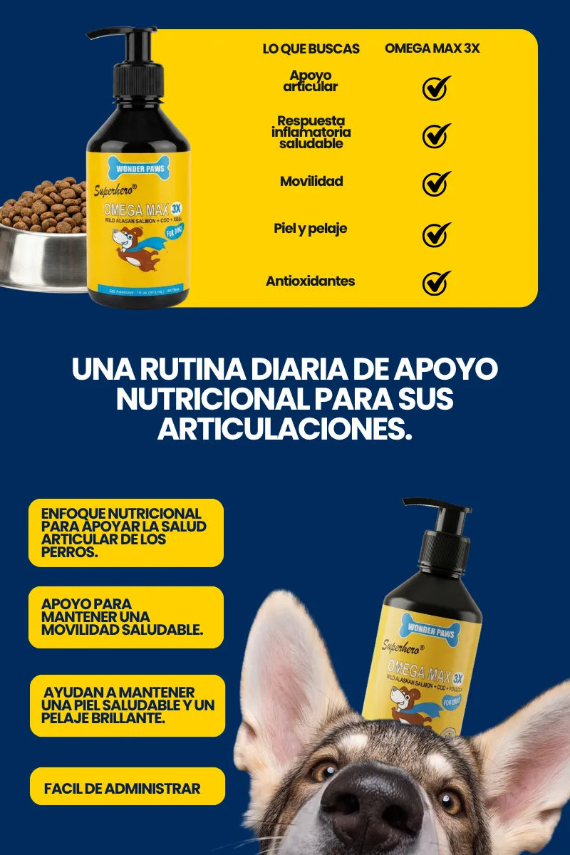 omegamax-flyer-2.webp