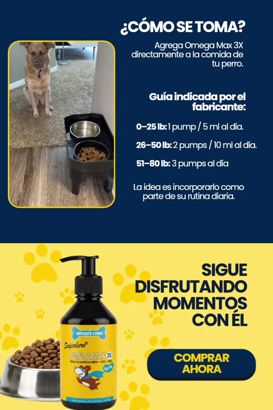 omegamax-flyer-4.webp