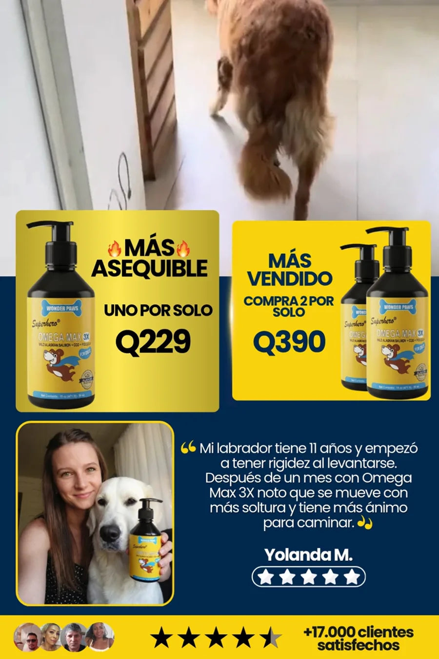 omegamax-flyer-8.webp